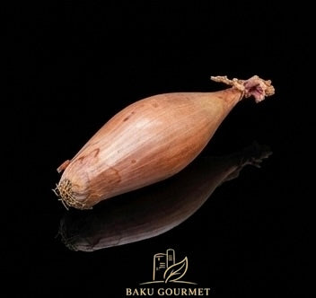 "Hovsan" onion / Лук "Говсаны"